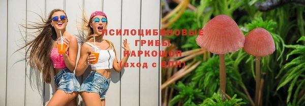 дживик Бугульма