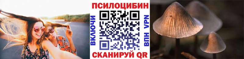 продажа наркотиков  Подольск  Галлюциногенные грибы ЛСД 